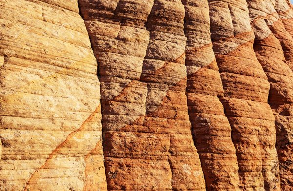 Quels sont les étapes à suivre pour devenir revendeur de musc Tahara en 2023 ?