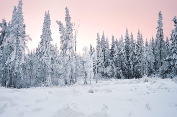 Sports d'hiver : les meilleures stations de ski